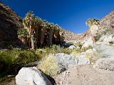 A Anza Borrego Desert 006